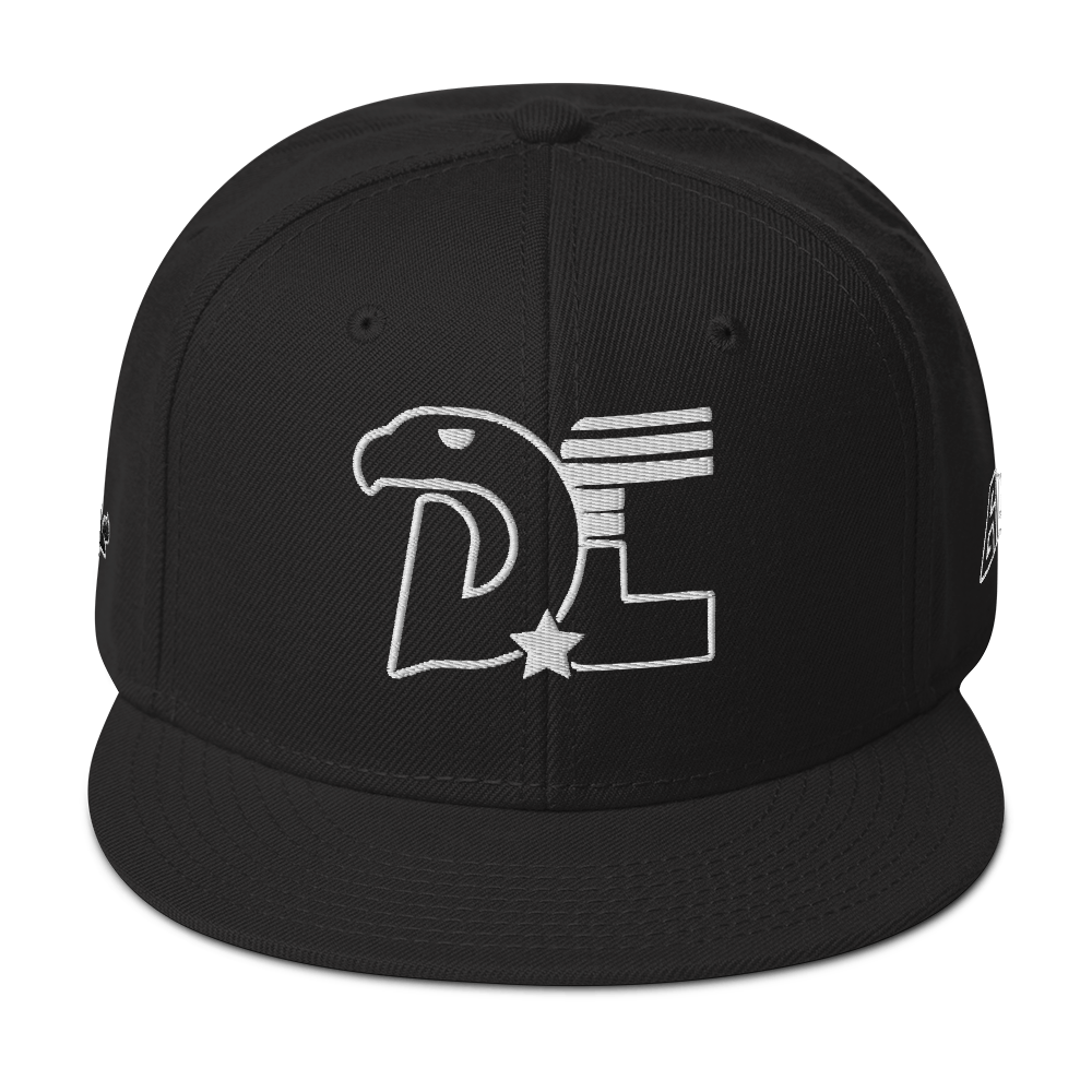 Dc3 SnapBack Hat