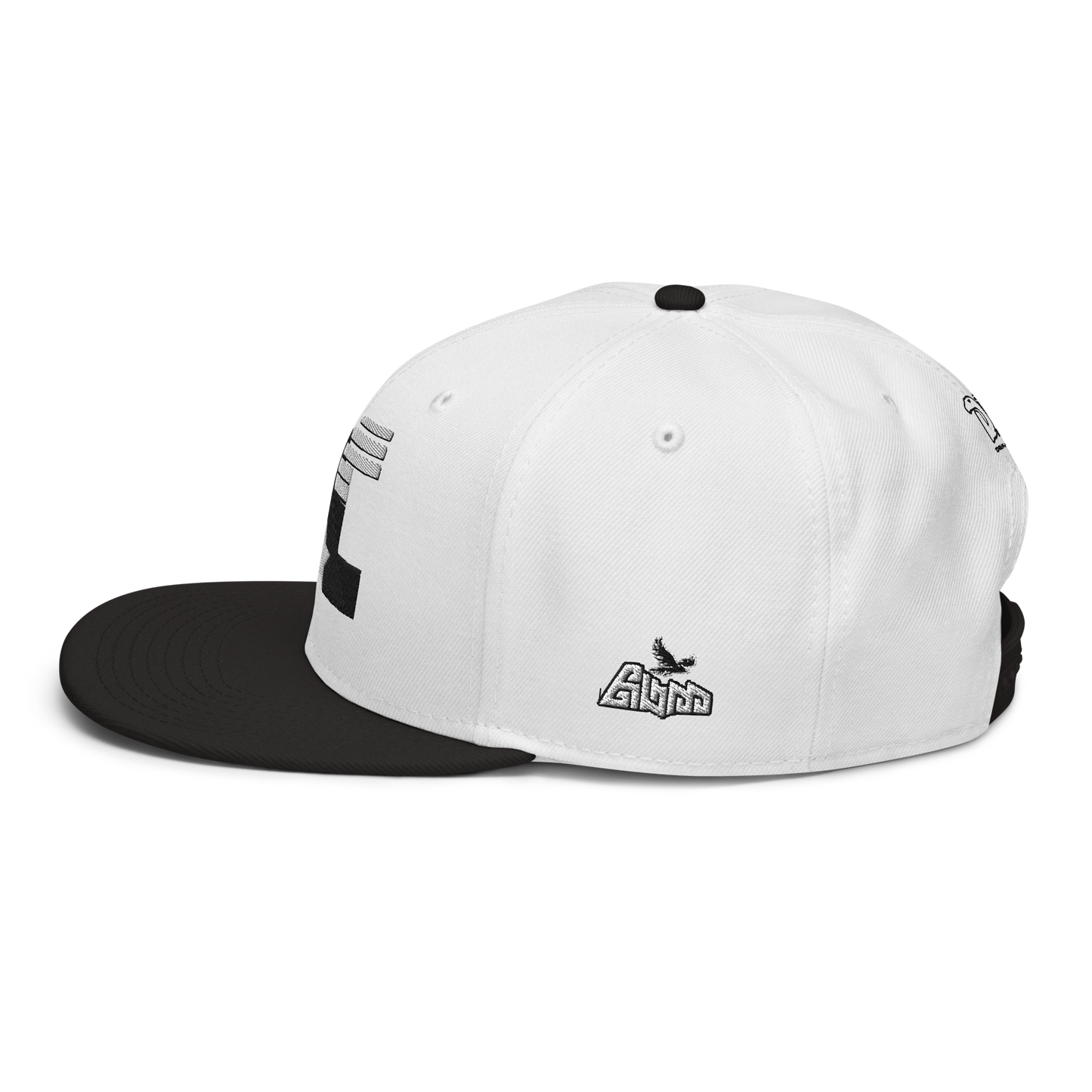 Dc3 SnapBack Hat