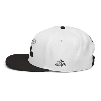 Dc3 SnapBack Hat