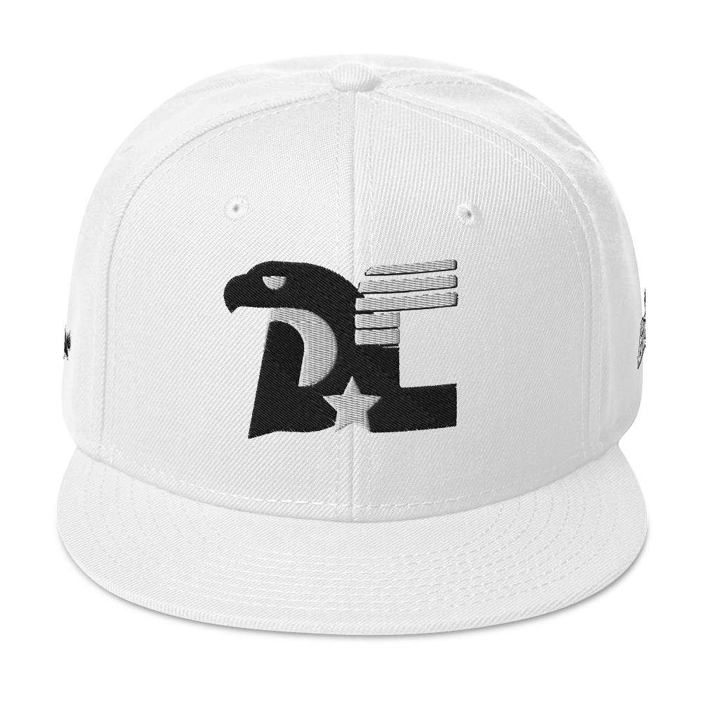 Dc3 SnapBack Hat