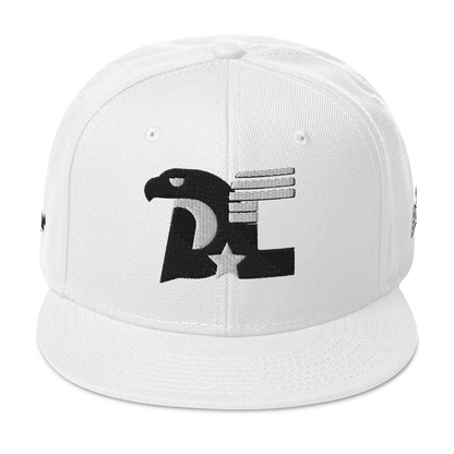 Dc3 SnapBack Hat