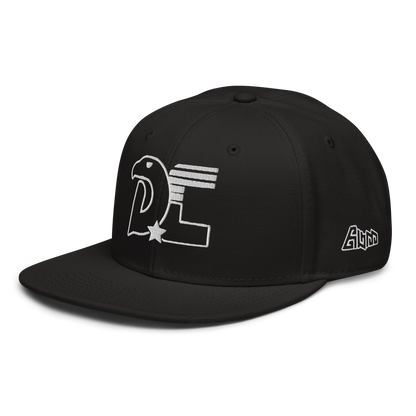 Dc3 SnapBack Hat