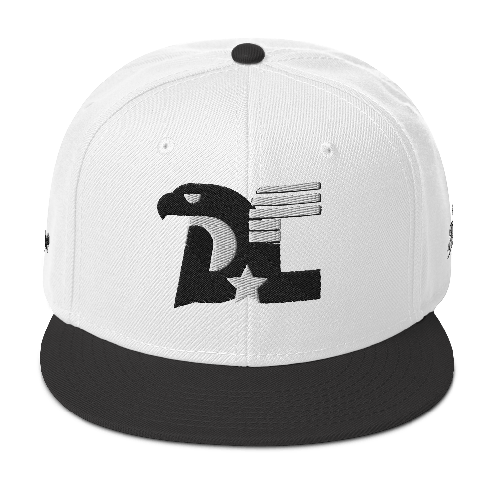 Dc3 SnapBack Hat