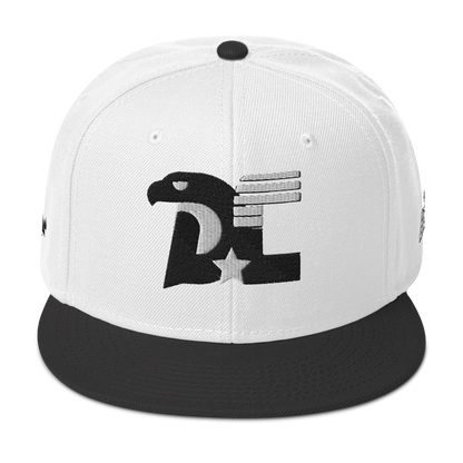 Dc3 SnapBack Hat