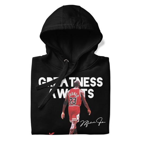 Jordan “Greatness Awaits” Hoody