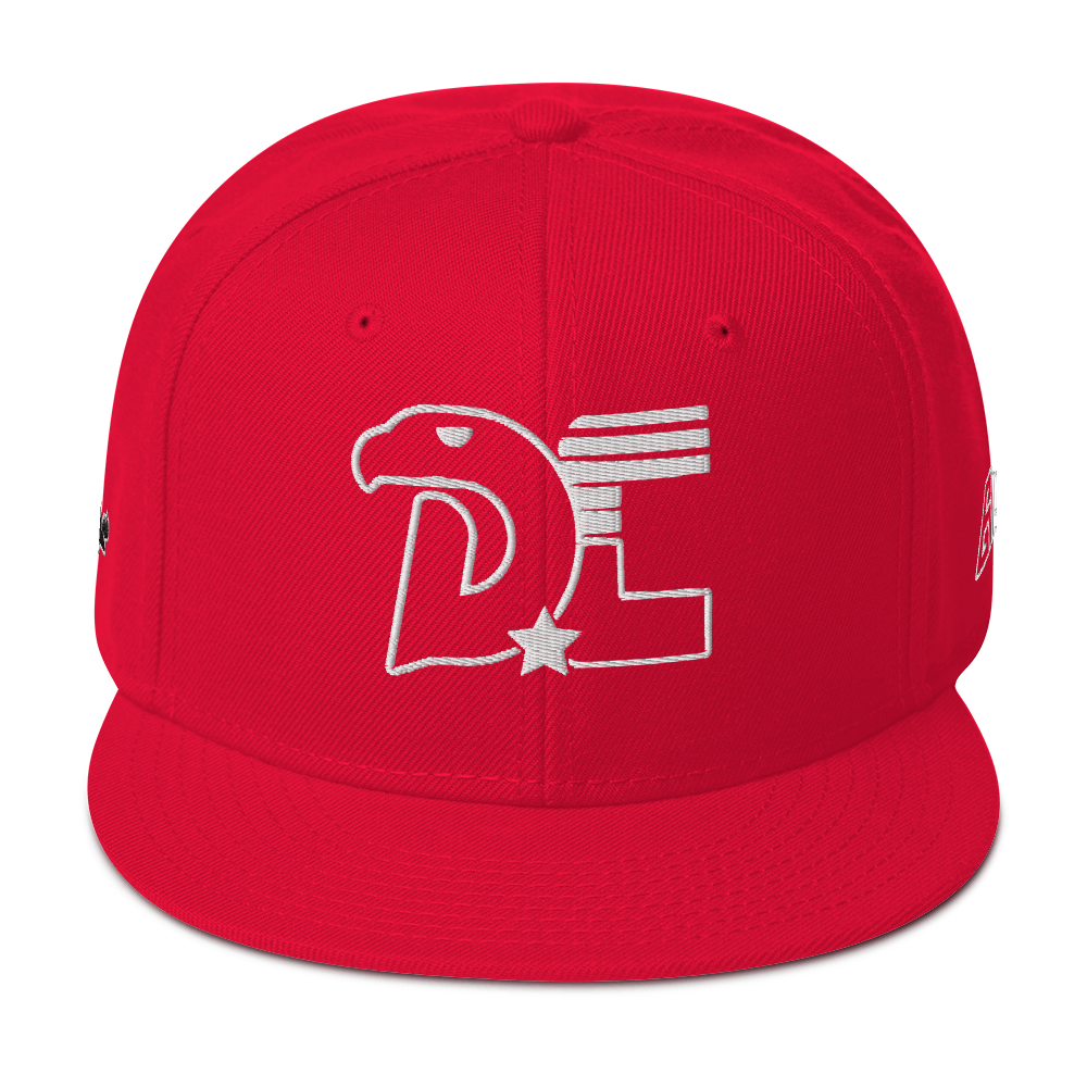 Dc3 SnapBack Hat