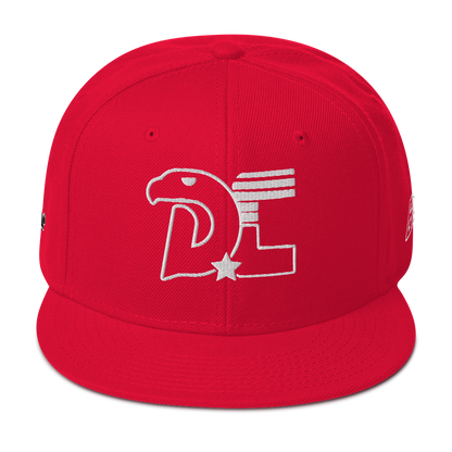 Dc3 SnapBack Hat